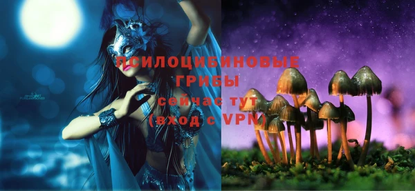 мяу мяу мука Арсеньев